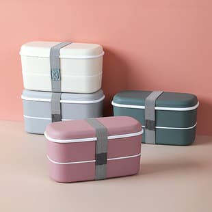 Cross-Border Plastic Lunch Box, Bento Box Food-Grade Material Microwave-Safe, Double-Layer Divided Kids Lunch Box