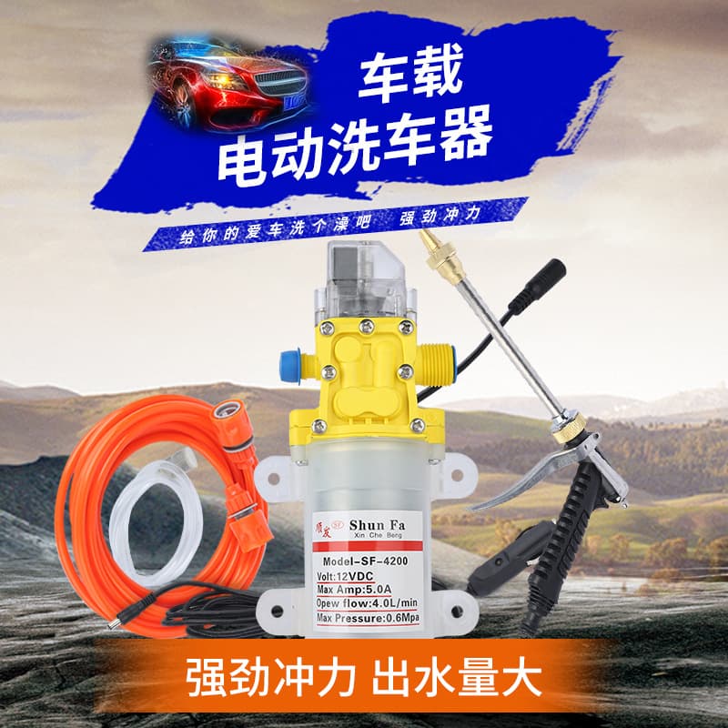 Micro Diaphragm Pump Car Wash Machine 12V Car Wash Pump Household 220V High Pressure Car Wash Machine Brush Car Water Gun Portable