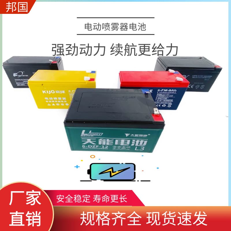 12V Electric Sprayer Battery for Agricultural High-Pressure Sprayers, Four-Wheel Electric Vehicle Batteries