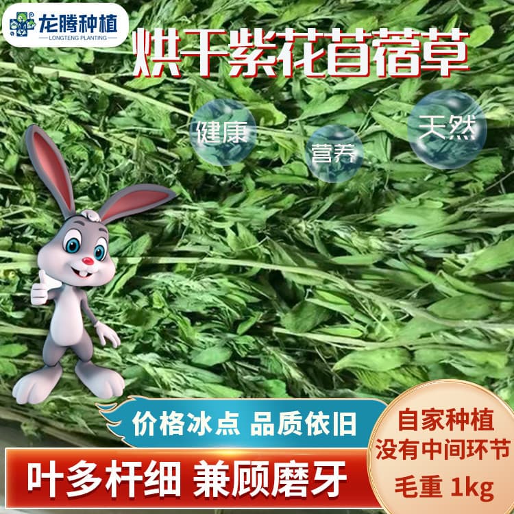 2026 Dried Alfalfa Hay Rabbit Chinchilla Guinea Pig Pet Food Alfalfa Pasture 1kg Box