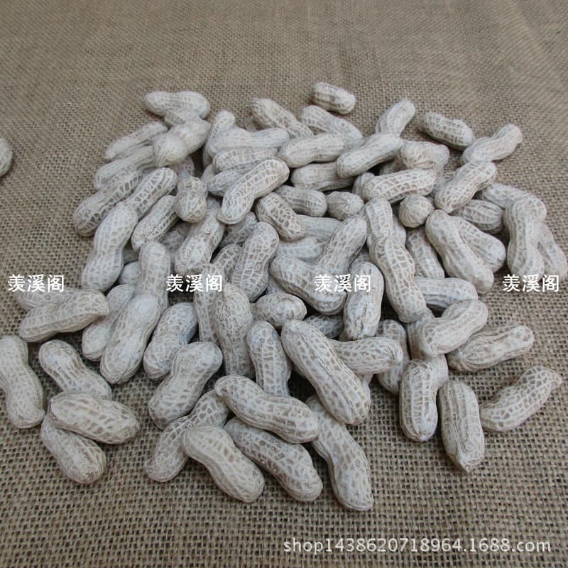 Purple clay bionic peanut, Yixing purple clay tea pet sculpture, tea plaything decoration, home furnishing.