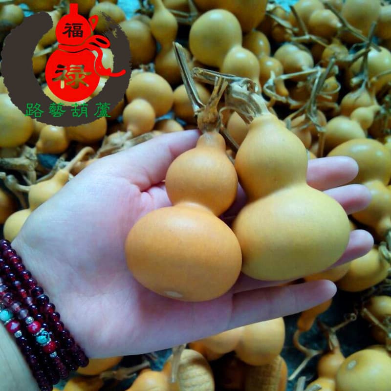 Factory Direct Natural Gourds American Hand-spun Gourds Collectible Play Gourds Gourd Craft Wholesale