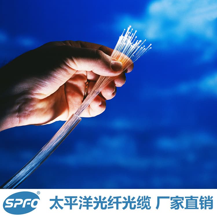 Shandong Pacific Fiber G652D Single-Mode Fiber OTDR Tested B1.3 Low-Loss Fiber
