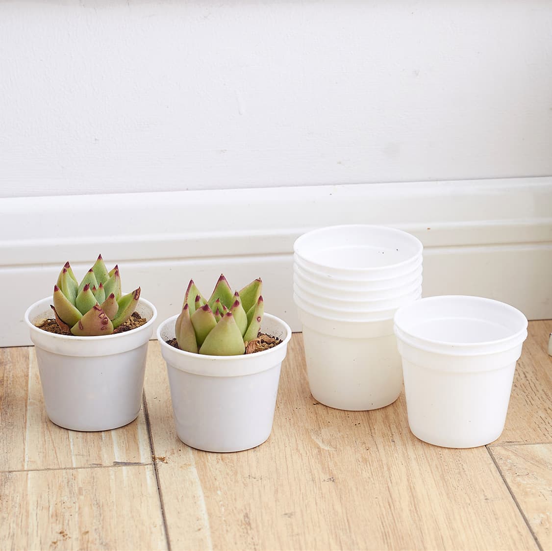 Manufacturer wholesale plastic flower pots, planting pots, succulent seedling pots, small white pots, small black pots, transplanting seedling pots, balcony gardening
