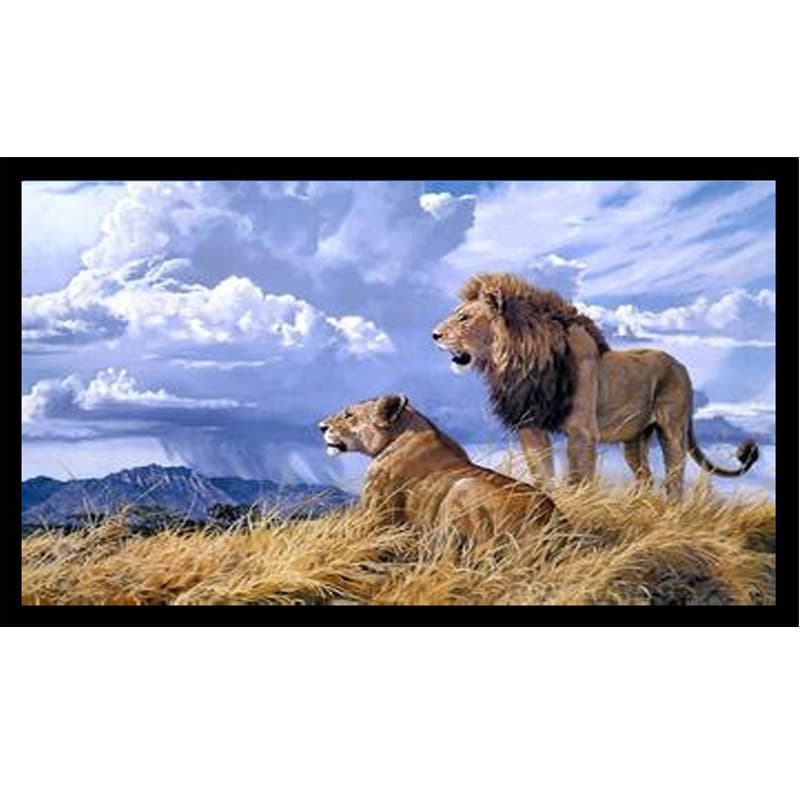 Projection screen, projector screen, frame screen retail and wholesale