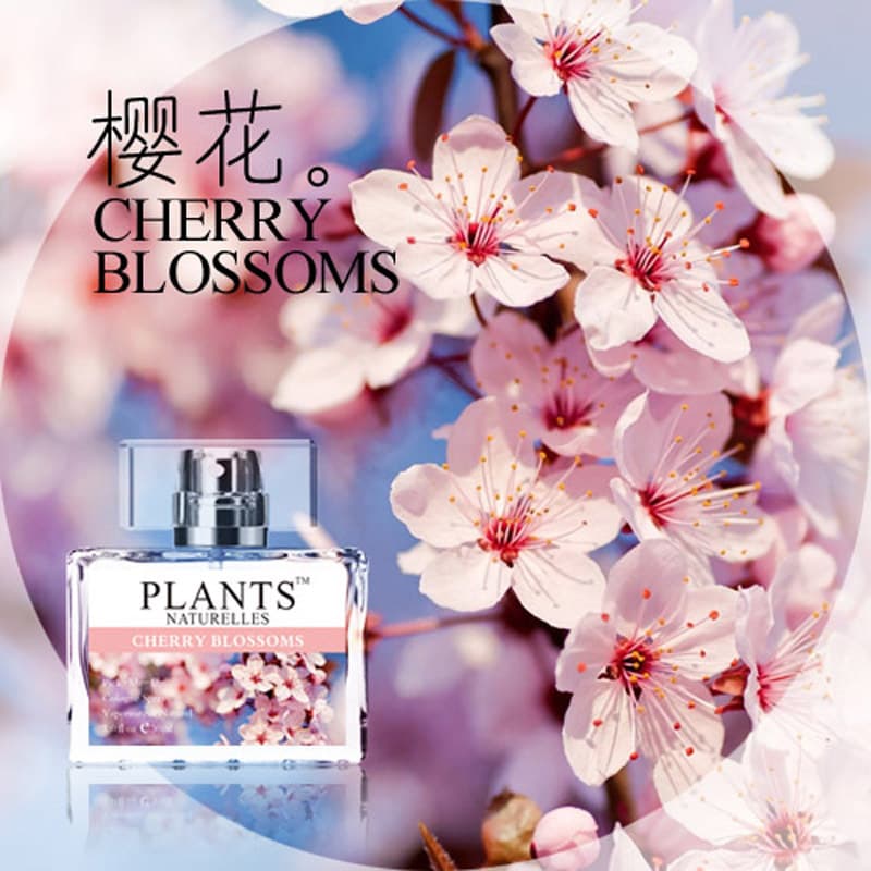 Babos 30ml Sakura Fragrance Spray No. 36 Bottled Sleep Sports Cooling Spray Perfume Sample