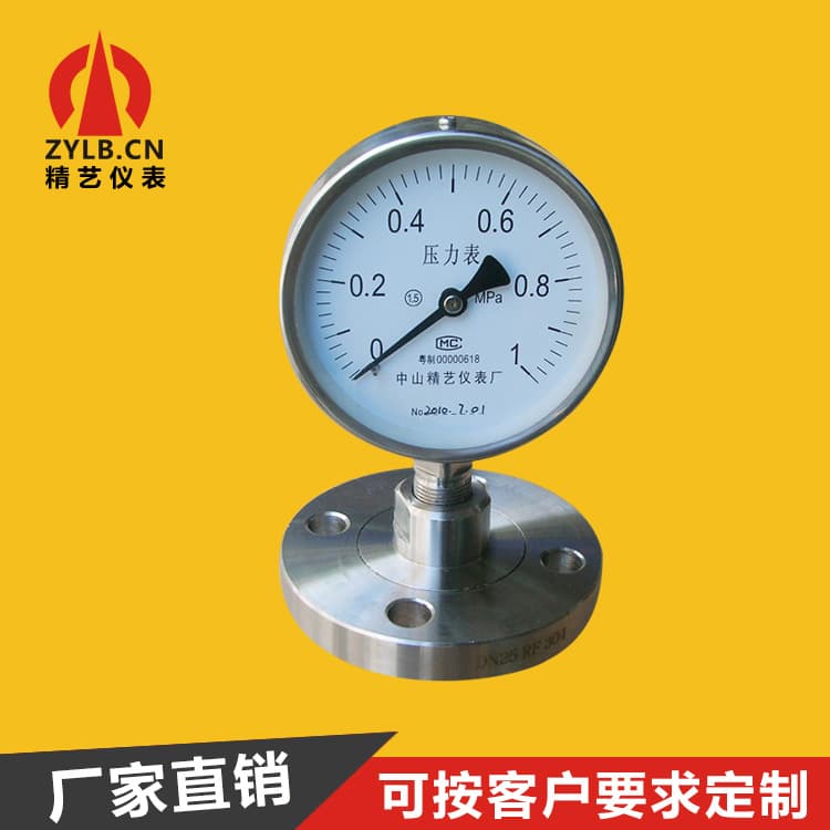 Stainless Steel Diaphragm Pressure Gauge with Flange Connection Dn25, All-Steel Oil-Filled, Acid and Alkali Resistant Ytnp-100Hf2 1Mpa