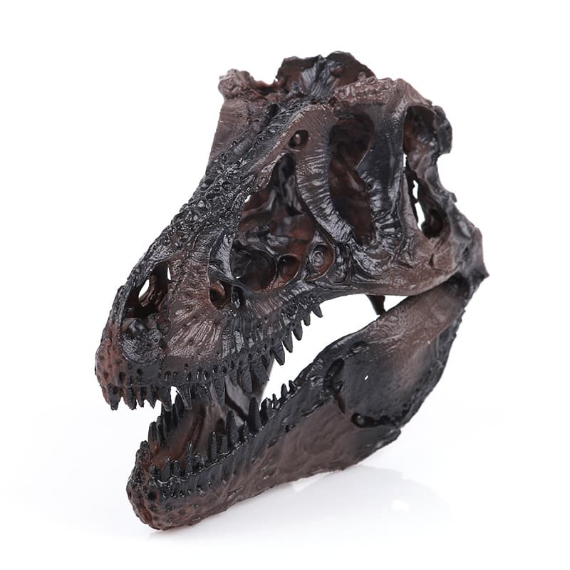 Dinosaur skull model resin crafts Tyrannosaurus rex skull animal skeleton research reference animal skull