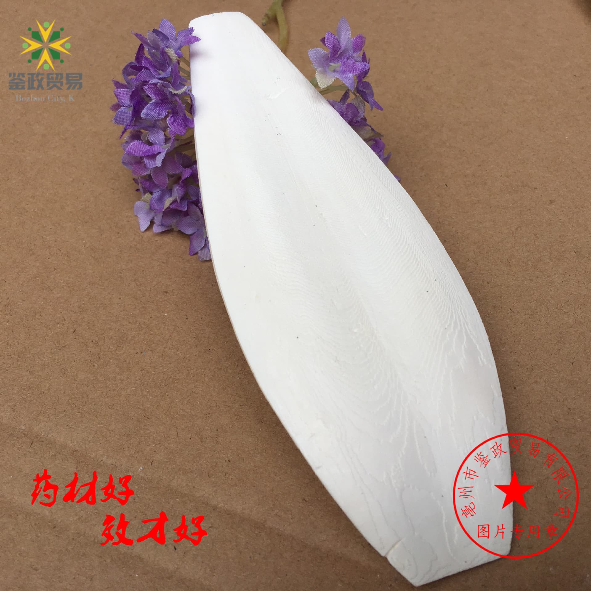 New Squid Bone for Pet Teeth Grinding, Agricultural Product, Sea Cucumber B, for Edges and Teeth
