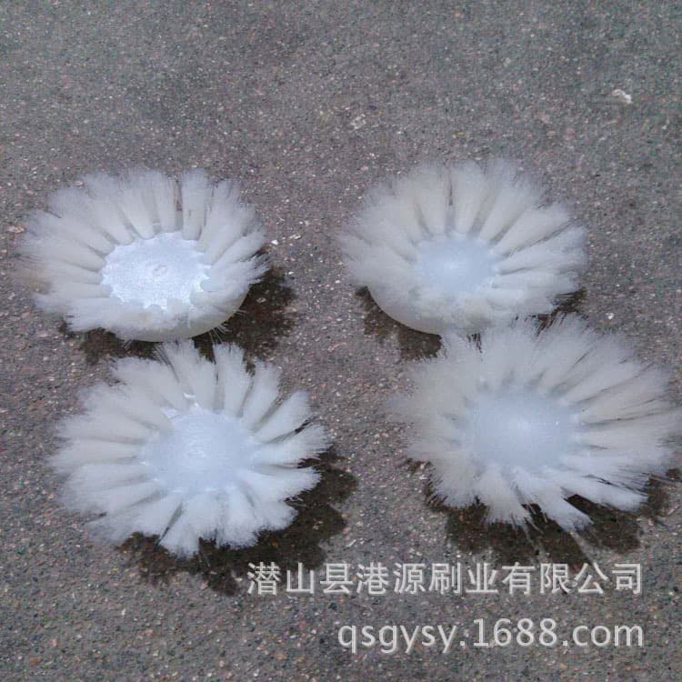 Factory Direct Smart Robot Sweeping Brush, Cleaning Brush, Pipe Cleaning Brush, Disc Sweeping Brush, Industrial Sweeping Brush