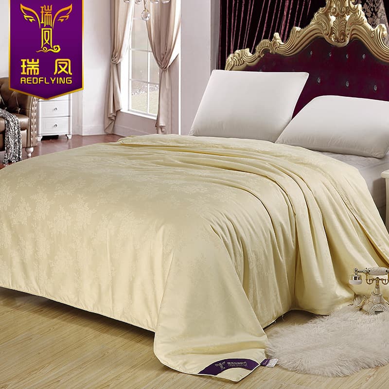Ruifeng Factory Supply Silk Quilt 100% Cotton Winter Mother-Child Quilt Four-Season Quilt Core Gift Mulberry Silk Quilt Wholesale