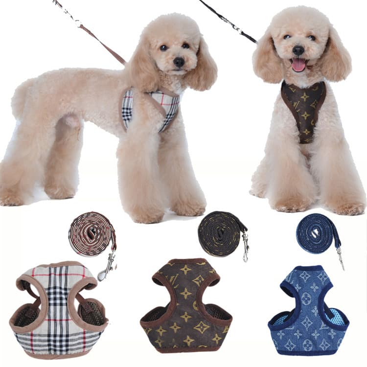 Pet Harness Anti-Strangle Dog Leash Set Dog Walking Rope Cat Adjustable Dog Harness Factory Direct Sale