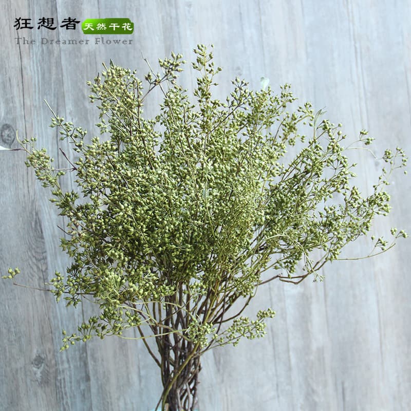 Rhapsody Xiaomi Guo Forest-style Natural Dried Flower Branches Bar Home Decoration Yunnan Factory Wholesale