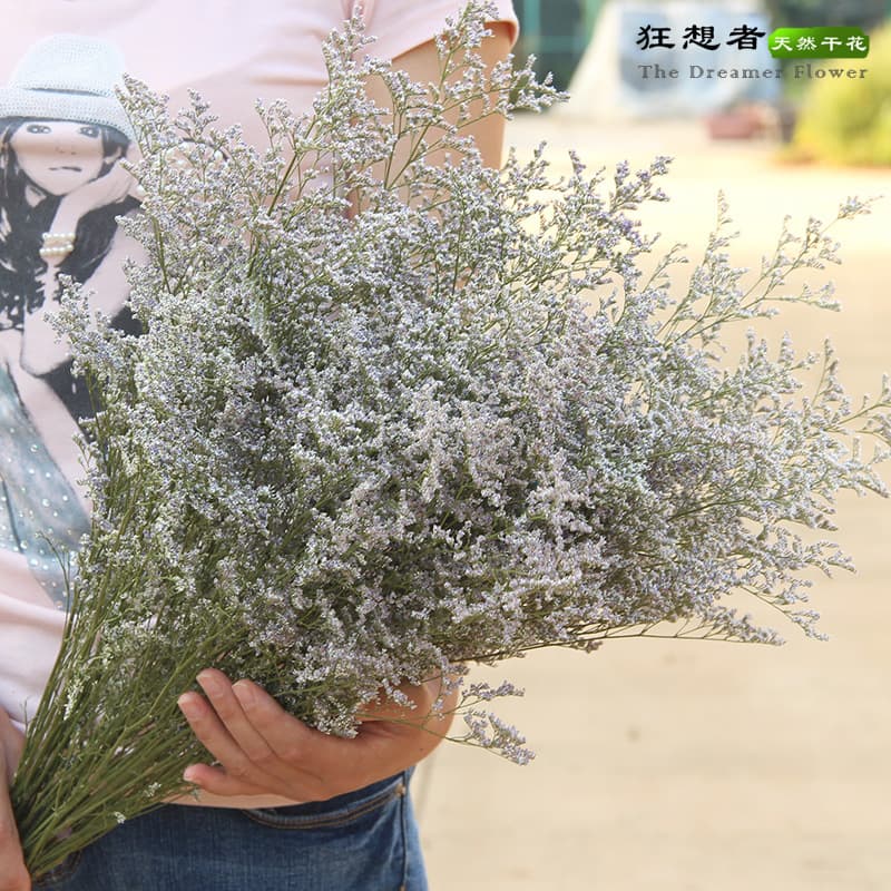 Wild Imagination New Stock A-grade Lover's Grass 100g Forest-style Natural Dried Flowers Real Flowers Home Decoration Yunnan Factory Wholesale