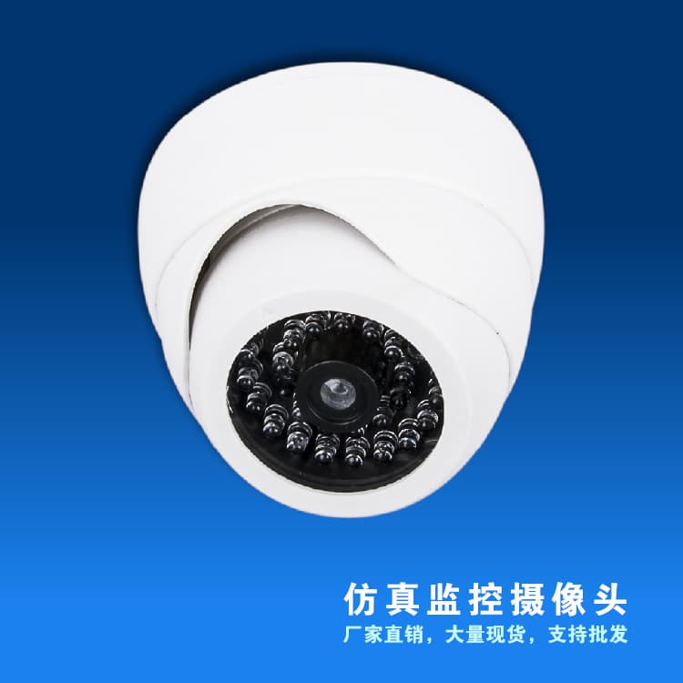 Factory Direct Dummy Camera Fake Surveillance Security Camera with Light