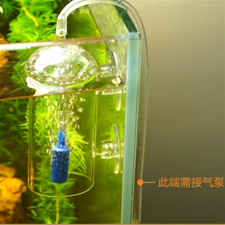 Aquarium Oxygen Diffuser Glass Water Reservoir for Fish Tank Planted Tank Oxygen Pump Aerator