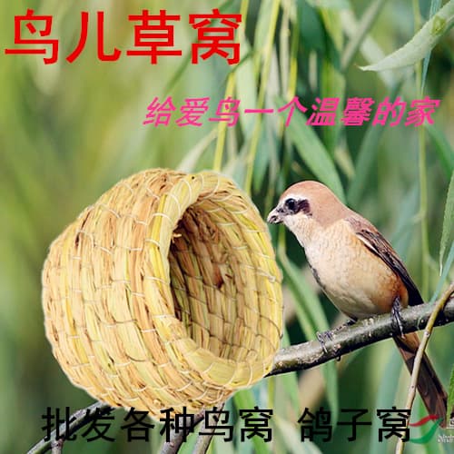 Bird Nests and Cage Grass Mats for Breeding Lovebirds, Parakeets, and Finches, Avian Nesting Supplies