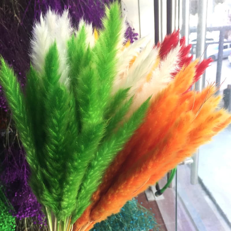 [Small reed] Large needles, Yunnan dried flowers, dried real flowers, hay, 15 dried branches