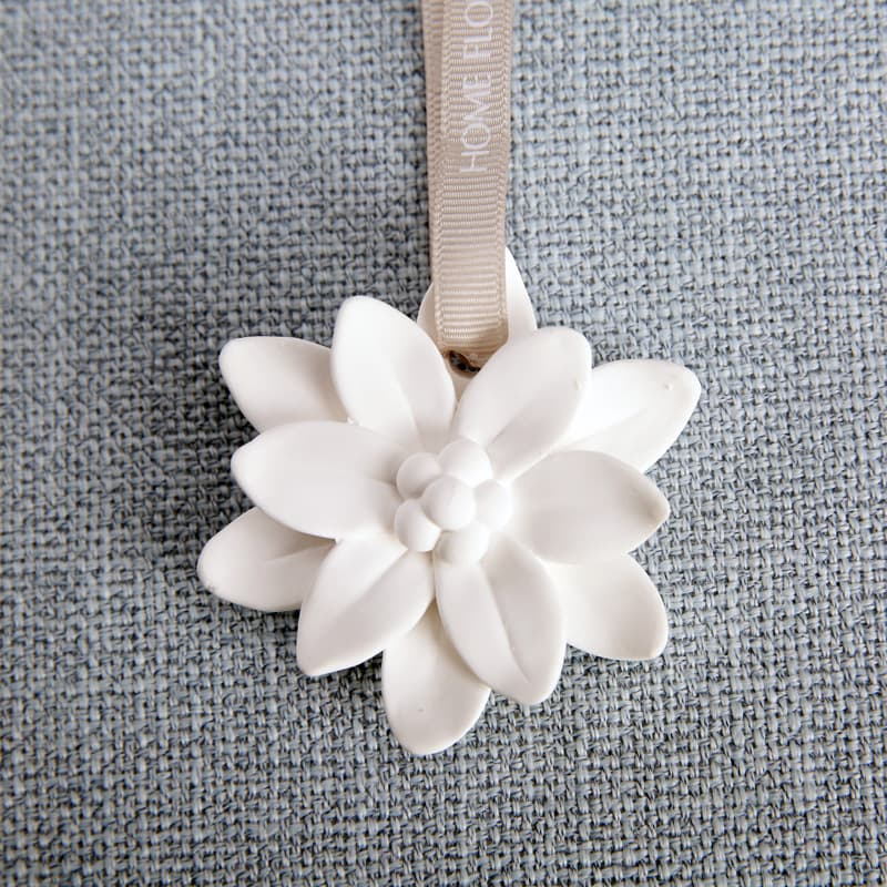 Plaster Flower Diffuser Stone for Car and Indoor Decoration, Aromatherapy Stone with Essential Oils, Exquisite Plaster Hanger