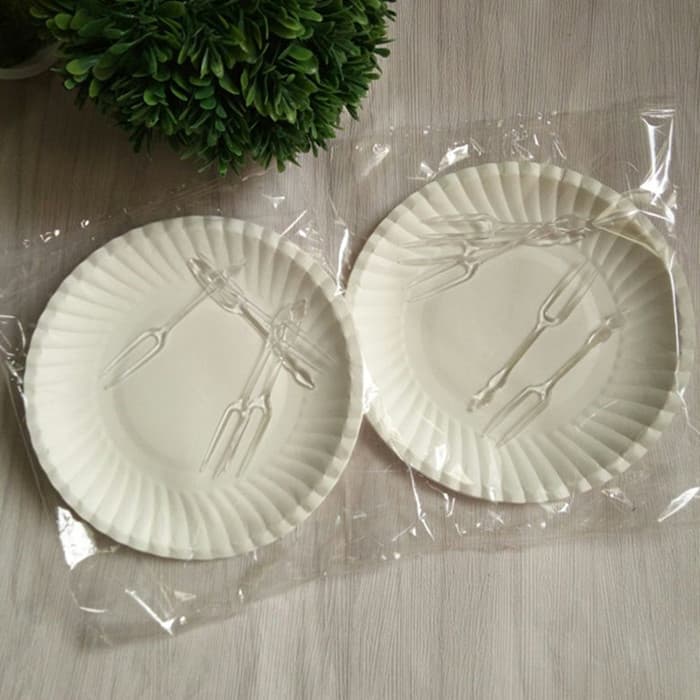 Xupu Disposable Birthday Cake Plate and Fork Set Individually Wrapped 5 Plates 5 Forks Set Tableware Paper Plate
