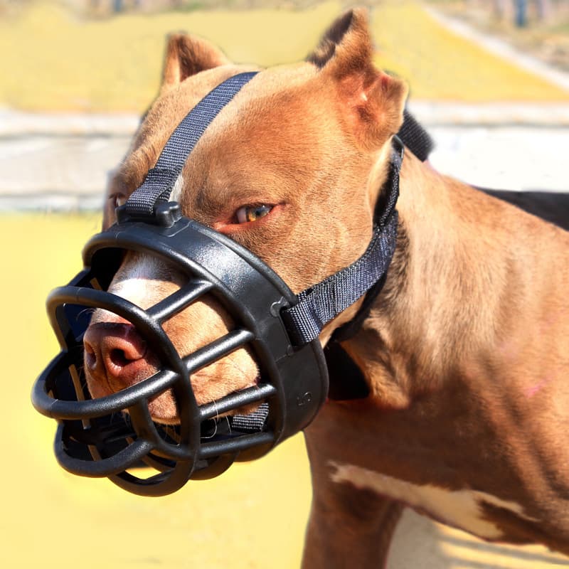 Adjustable Compression Silicone Dog Mouth Cover Anti Bite Pet Mask Training Tools Dog Mouth Guard Soft Odorless Plastic Material