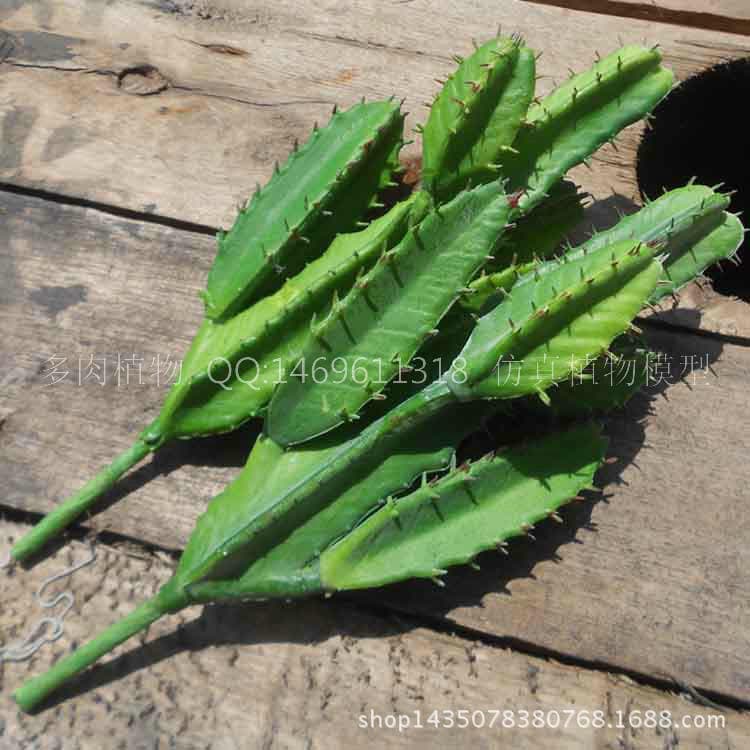 Simulated succulent plastic fake 5-head cactus flower green plant indoor decoration flower living room home gardening furnishings
