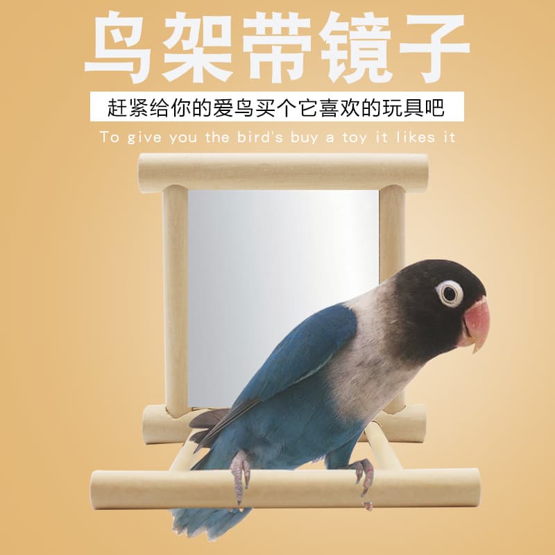 Small and Medium Bird Supplies, Bird Bell Toy, Bird Mirror, Bird Cage Perch Stand Bar Accessories, Bird Toy Factory