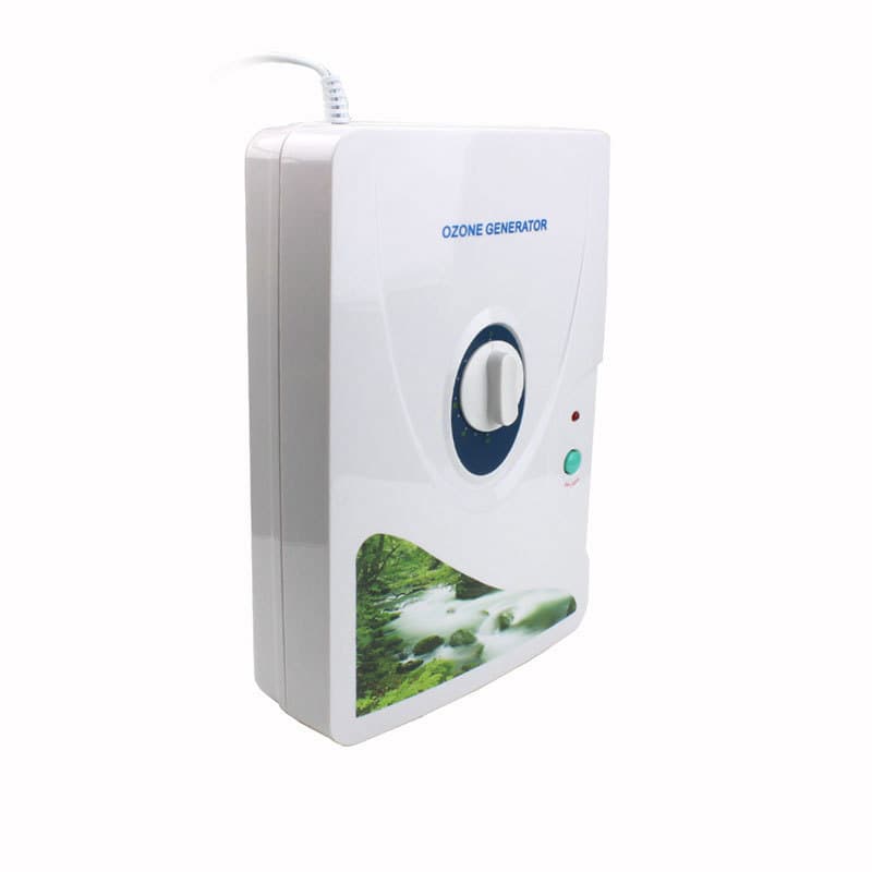 Kitchen Air Purifier and Ozone Generator Fruit and Vegetable Washer, 220V 600MG Mini Appliance