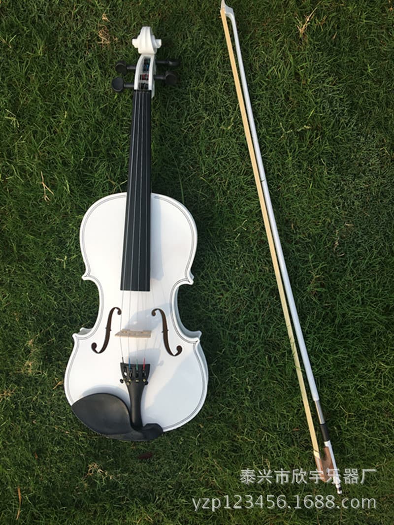 Office Culture String Instruments Violin Viola Cello Double Bass Accessories