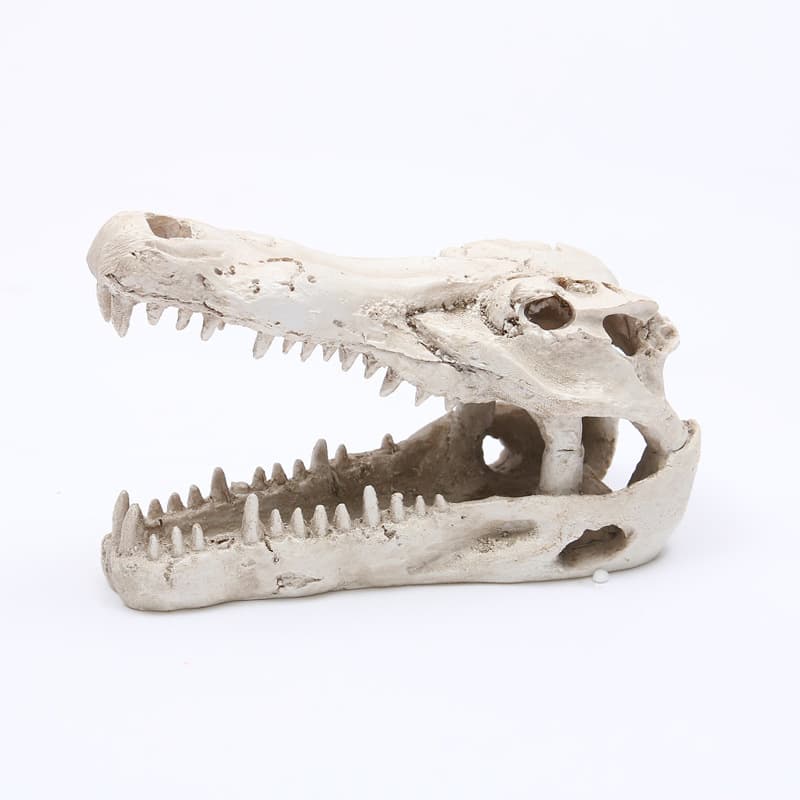 Aquarium Landscape Decoration Ornament, Resin Crocodile Skull Reptile Hide, Aquarium Decor