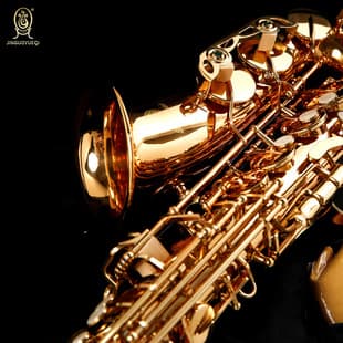 Jinguo Musical Instruments Genuine Beijing Xinghai Alto Saxophone B-Flat Gold Lacquer Saxophone Brass Wind Instrument