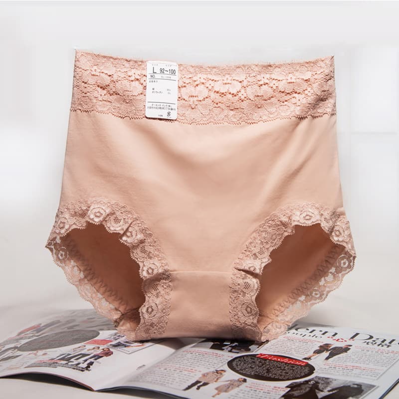 Mid-High Waist Tummy Control Plus Size Women's Lace Underwear, Japanese Cotton Crotch, High Waist Briefs, Ladies Factory Wholesale