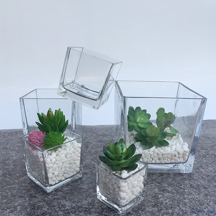Hydroponic glass vase square cylinder glass pothos hyacinth thickened flower insert glass cylinder mini pothos succulent vase