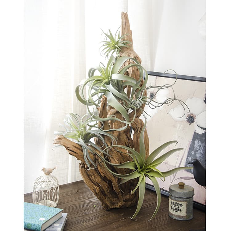 Factory direct sales European-style artificial flowers wholesale transplanted pineapple air grass home decoration fake flowers wedding plastic flowers