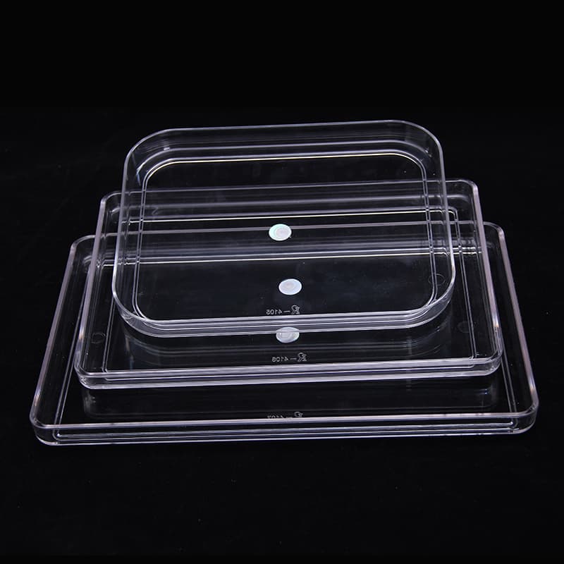 Source manufacturers hotel pc rectangular transparent tray hotel pastry tray fruit tray wholesale