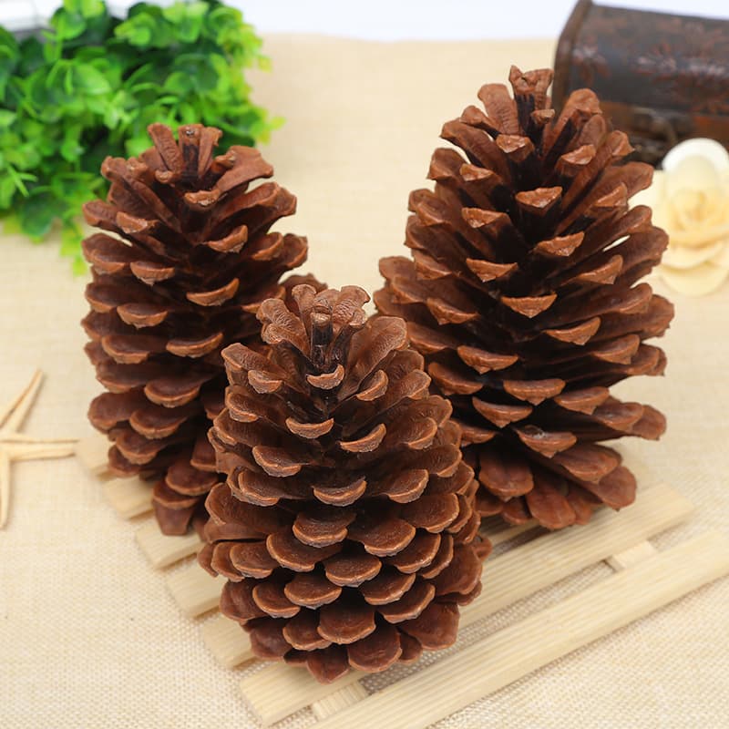Large Christmas Tree Photography Props Natural Pinecone Pine Ball Pine Leaf Dry Flower Wooden Decorations for Christmas Decoration