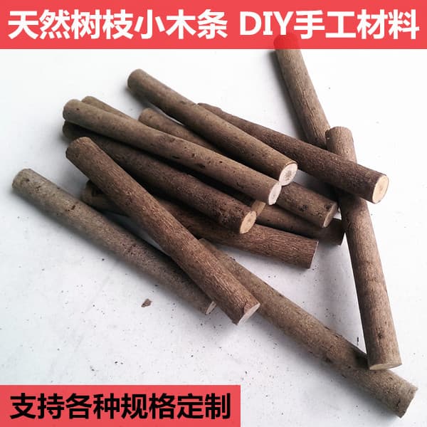 Natural Small Twigs, Thin Wood Sticks, ZAKKA DIY Materials, Small Wooden Sticks, Forest Style Twigs