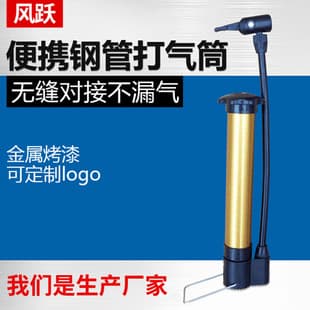 Portable High Pressure Ball Pump Bicycle Pump Manual Mini Pump Electric Vehicle Steel Tube Pump