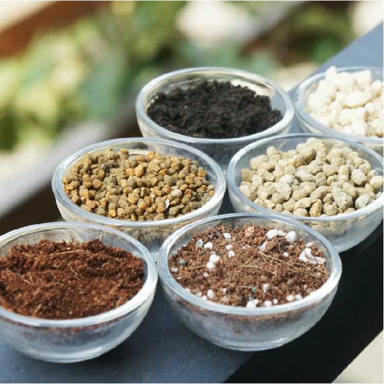 Succulent granular soil, nutrient soil, paving stone, red jade clay, ceramsite, succulent vermiculite, perlite matrix, white stone