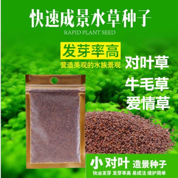 Aquarium Grass Seeds for Aquascaping Lawn - Mini Hairgrass, Dwarf Baby Tears, Clover Seeds, Foreground Plants