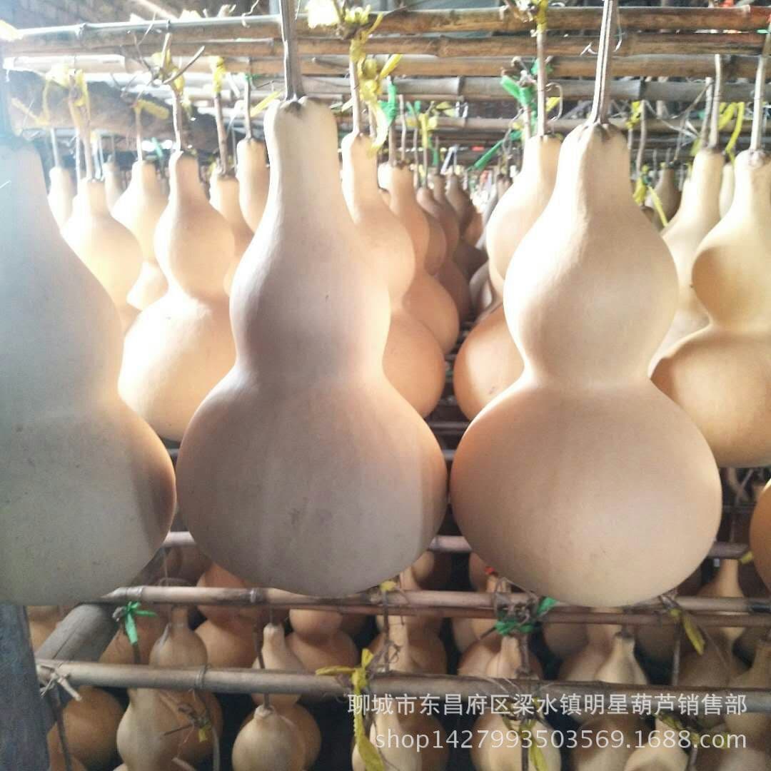 Direct from the source: Natural large gourds, large waisted plain gourds, wholesale large gourd ornaments for collectors and collectors.