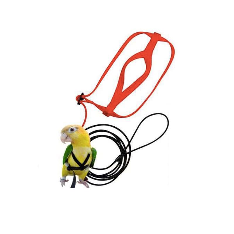 Parrot Flight Harness Leash Training Tether for Grey Parrot Macaw Outdoor Walking
