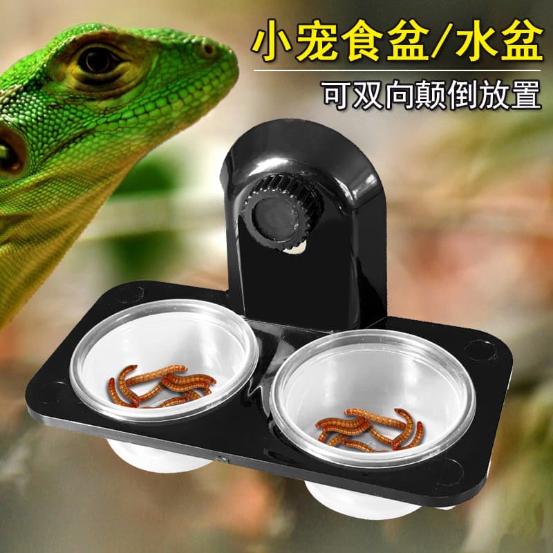 Reptile dual-purpose water bowl, food bowl, crested gecko feeding table, beetle jelly table, green iguana bowl, spider mealworm bowl