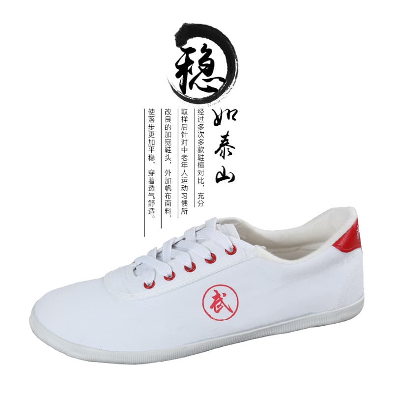 2025 New Martial Arts Shoes, Slip-Resistant Rubber Sole Durable Canvas Shoes Breathable Square Dance Shoes for Men and Women, Tai Chi Aerobics