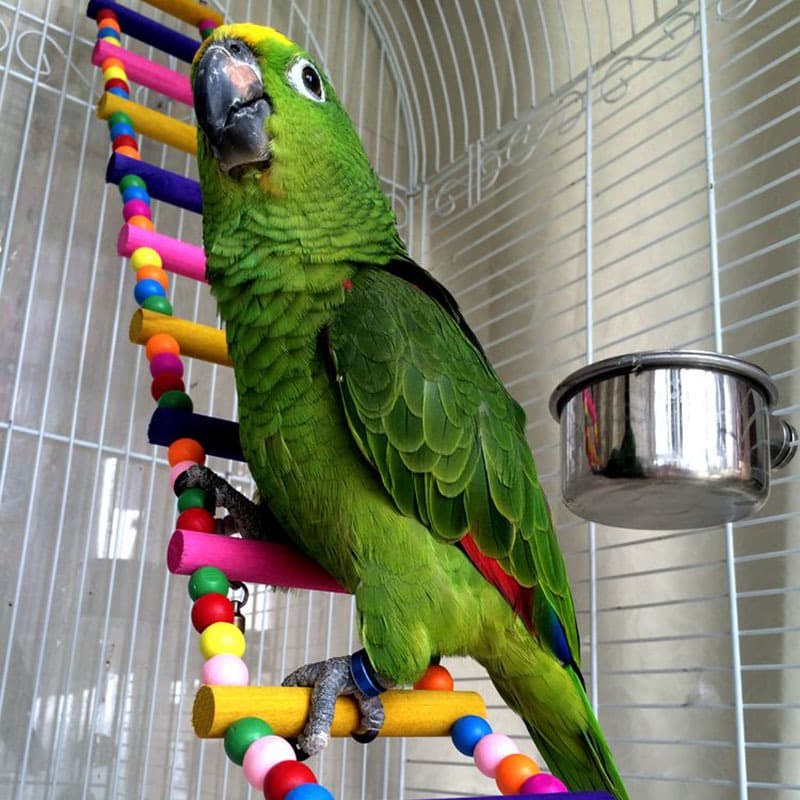 Ji Long Climbing Ladder Cloud Ladder Chew Toy Bird Ladder Suspension Bridge Swing Bird Cage Toy Parrot Bird Supplies