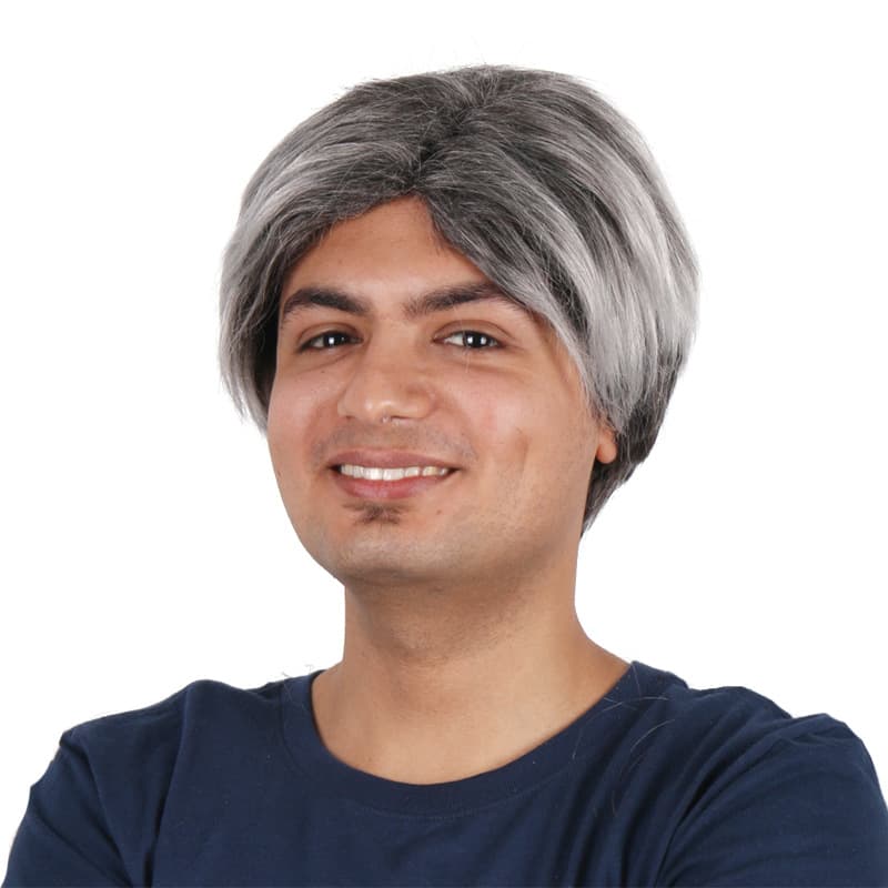 Factory Wholesale Wig Gray Short Straight Middle Part Men's Wig Amazon Hot Selling European and American Wig Men's Wig
