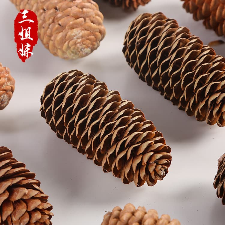Large supply of big forest spruce pine cone pine cone Christmas decorations pine cone ball hangings shooting props wholesale