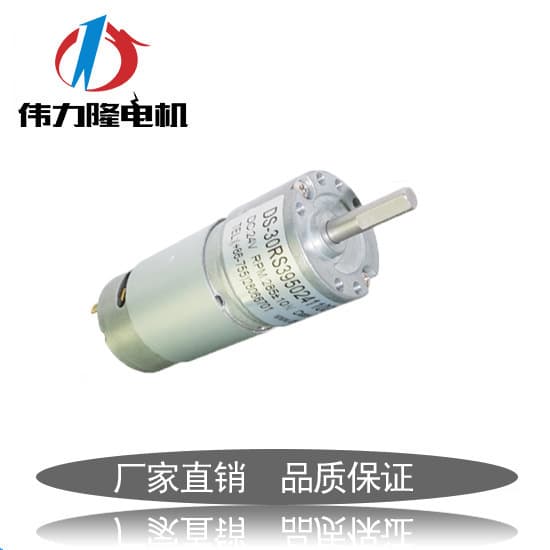 Low Noise Micro Gear Reduction Motor WL-30RS395 Power Tool Electronic Product Motor Part