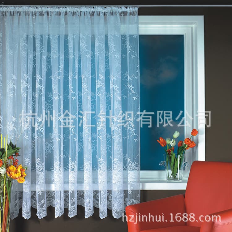 Transparent White Lace Curtain Sheers, Door Curtains for Floor-to-Ceiling Windows and Large Bay Windows