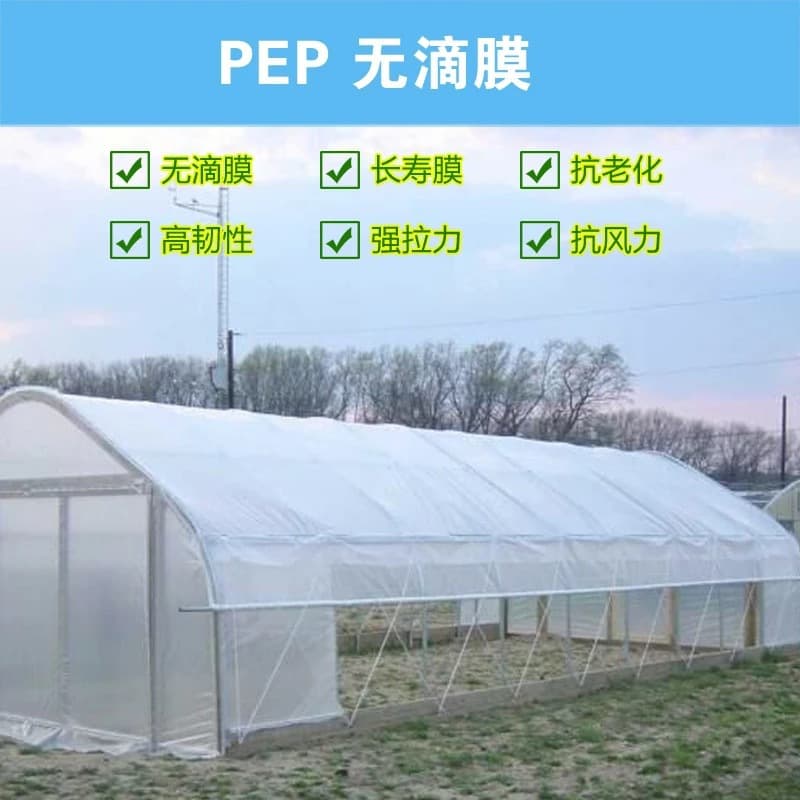 Haili Greenhouse Thickened Light-Transmitting Plastic Tarpaulin, Transparent Cover, Outdoor Farm Shade Anti-Aging Greenhouse Sheet